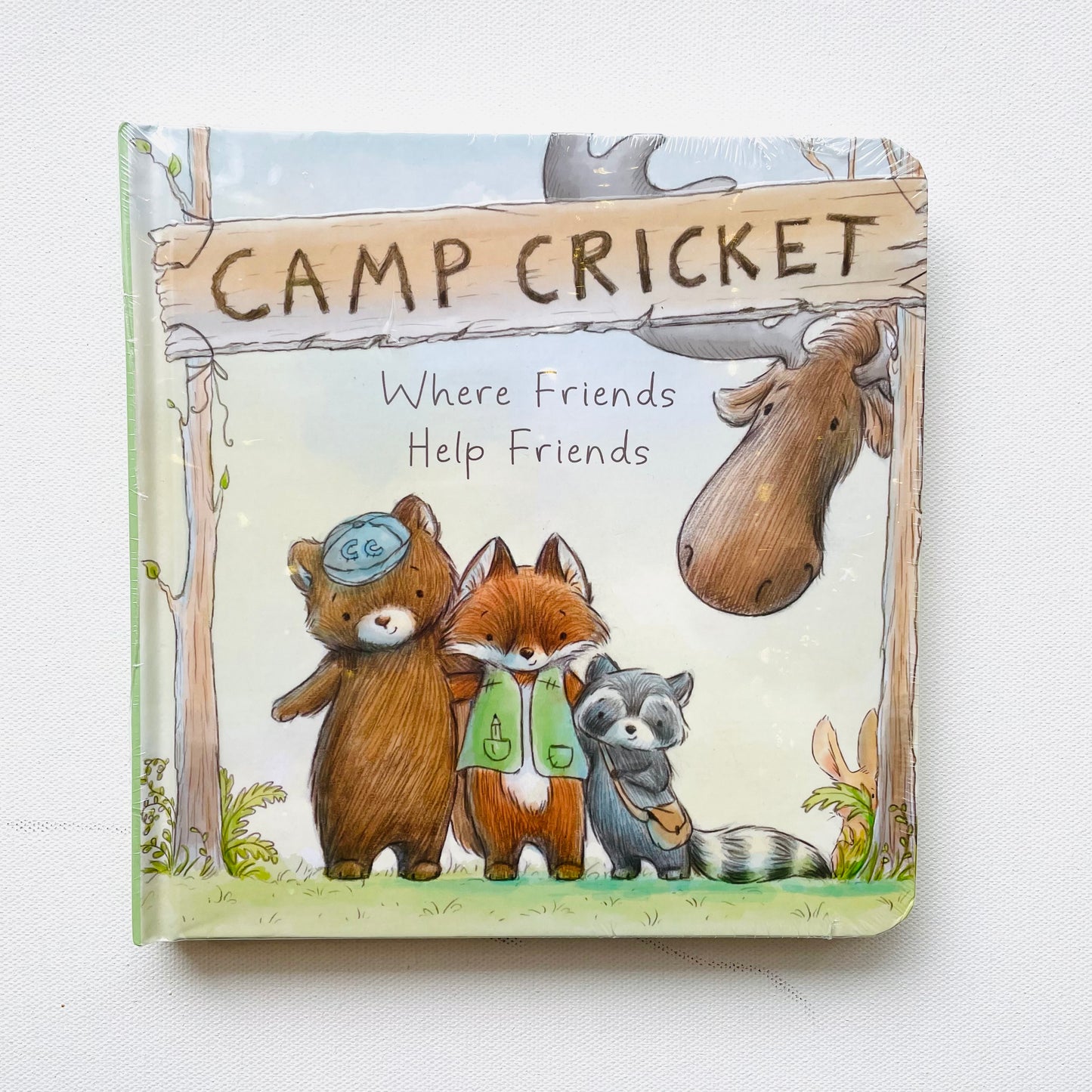 Camp Cricket Book