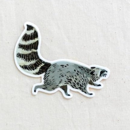 Raccoon Vinyl Sticker