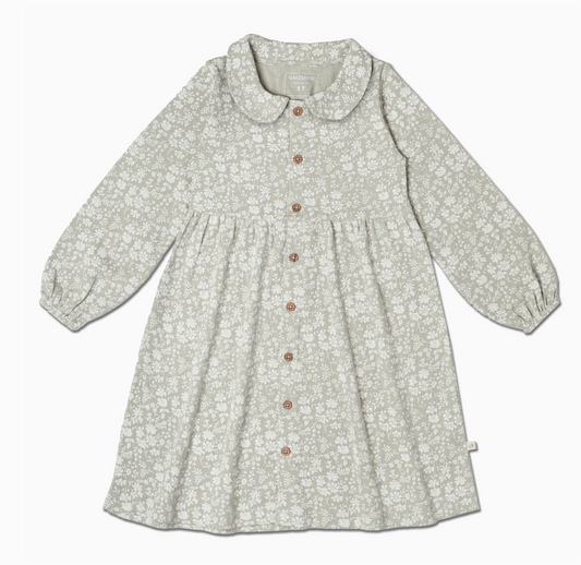 Collared Dress | Wildsage