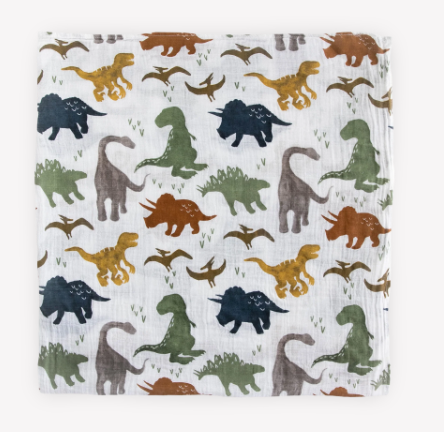 Swaddle | Dino Friends