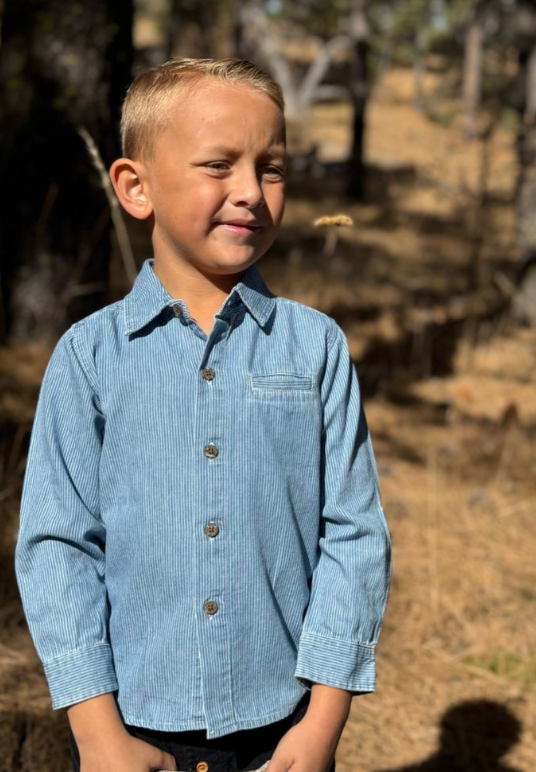 Atwood Woven Shirt | Denim/White Stripe