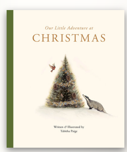 Our Little Adventure at Christmas