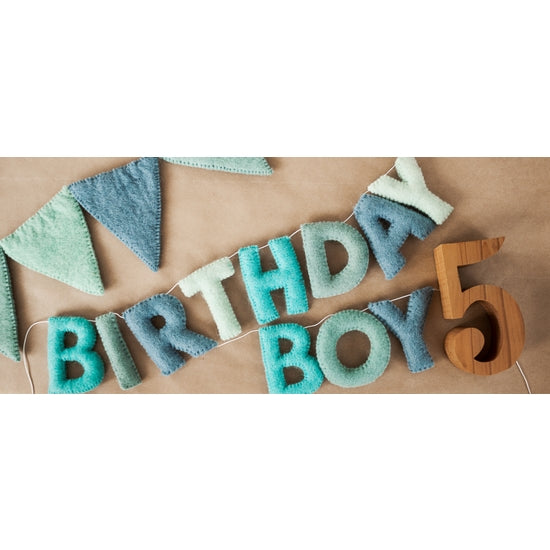 Birthday Boy / Letter Garland